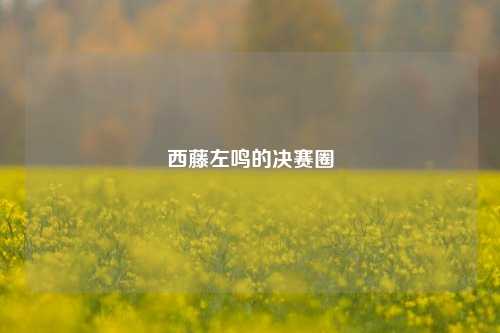西藤左鸣的决赛圈