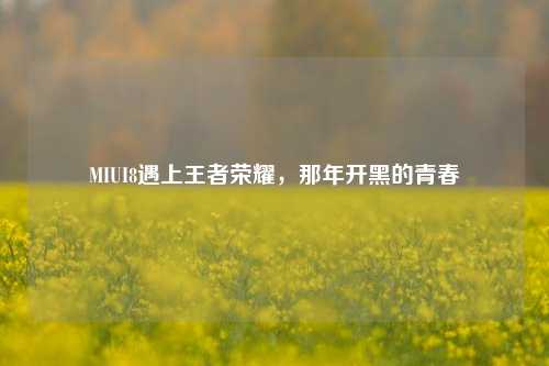 MIUI8遇上王者荣耀，那年开黑的青春