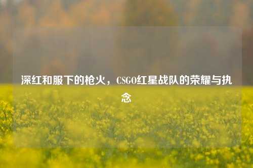 深红和服下的枪火，CSGO红星战队的荣耀与执念
