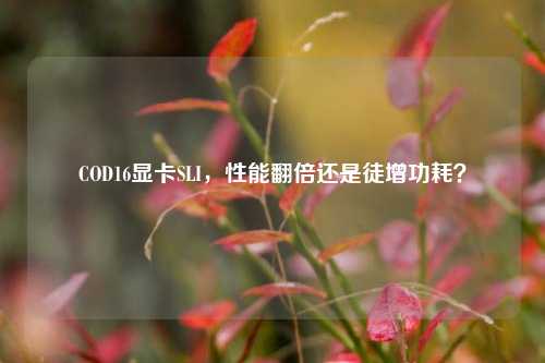 COD16显卡SLI，性能翻倍还是徒增功耗？