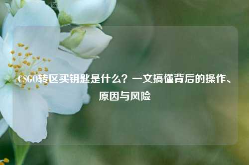 CSGO转区买钥匙是什么？一文搞懂背后的操作、原因与风险