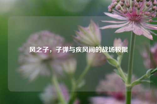 风之子，子弹与疾风间的战场极限