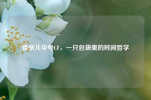 香奈儿中号CF，一只包袋里的时间哲学
