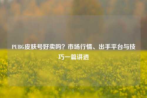 PUBG皮肤号好卖吗?市场行情、出手平台与技巧一篇讲透