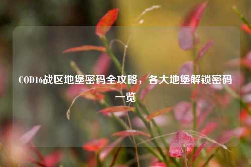 COD16战区地堡密码全攻略，各大地堡解锁密码一览