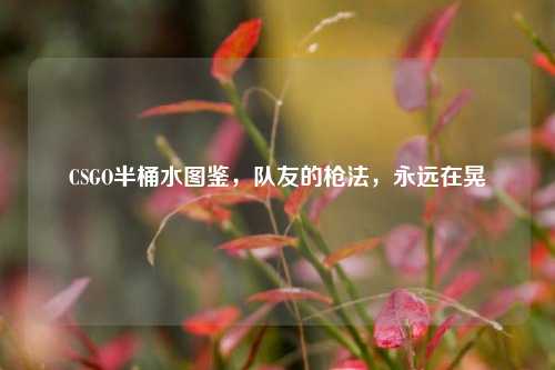 CSGO半桶水图鉴，队友的枪法，永远在晃