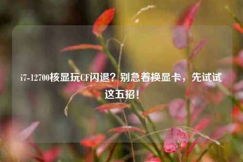 i7-12700核显玩CF闪退？别急着换显卡，先试试这五招！