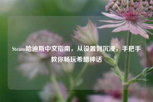 Steam哈迪斯中文指南，从设置到沉浸，手把手教你畅玩希腊神话