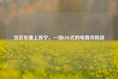 当京东撞上苏宁，一场LOL式的电商攻防战