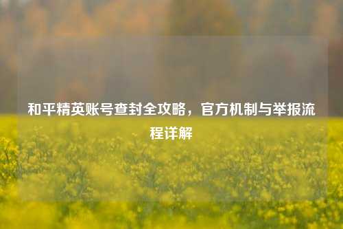 和平精英账号查封全攻略，官方机制与举报流程详解