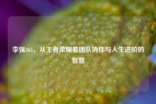 李强365，从王者荣耀看团队协作与人生进阶的智慧