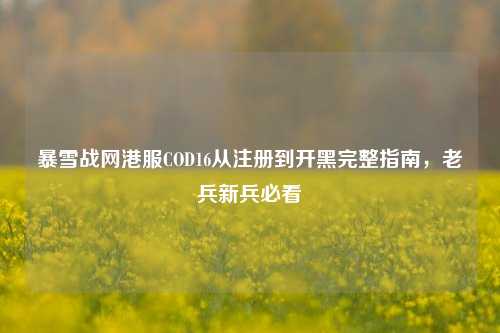 暴雪战网港服COD16从注册到开黑完整指南，老兵新兵必看
