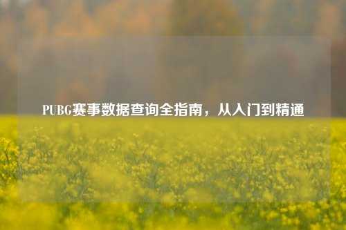 PUBG赛事数据查询全指南,从入门到精通