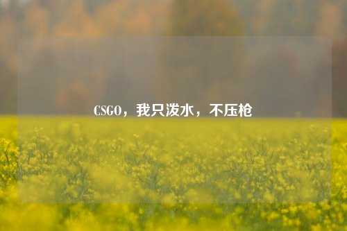 CSGO，我只泼水，不压枪