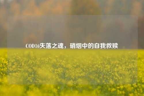 COD16失落之魂,硝烟中的自我救赎