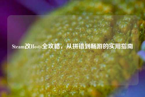 Steam改Hosts全攻略,从拼错到畅游的实用指南