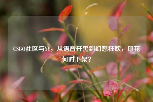 CSGO社区与YY,从语音开黑到幻想狂欢,印花何时下架?