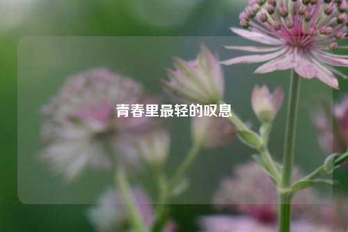 青春里最轻的叹息