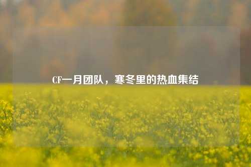CF一月团队，寒冬里的热血集结