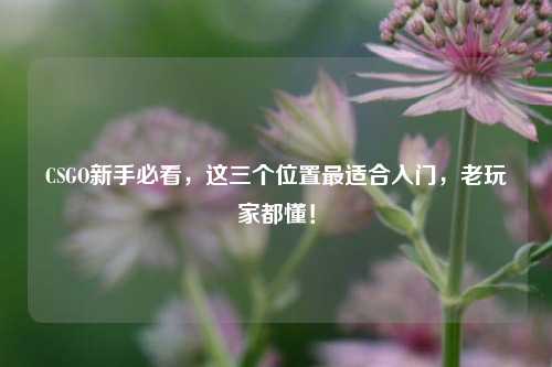 CSGO新手必看,这三个位置最适合入门,老玩家都懂!