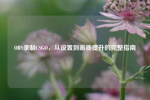 OBS录制CSGO,从设置到画质提升的完整指南