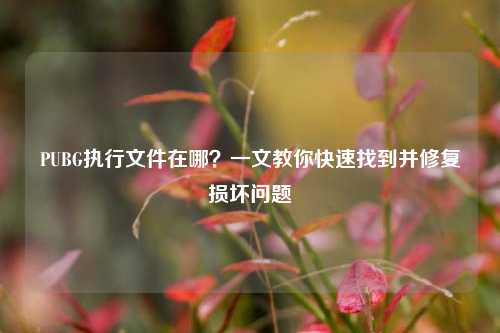 PUBG执行文件在哪?一文教你快速找到并修复损坏问题