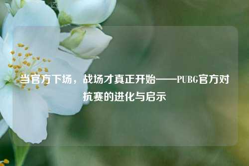 当官方下场,战场才真正开始——PUBG官方对抗赛的进化与启示
