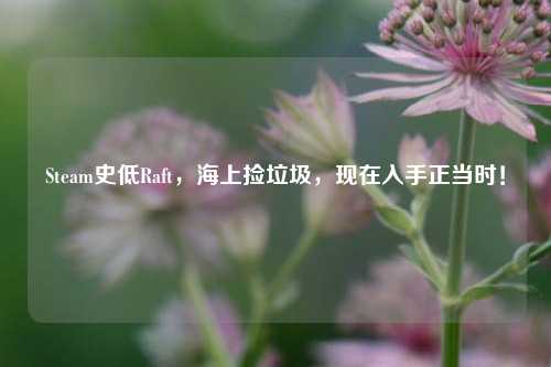 Steam史低Raft,海上捡垃圾,现在入手正当时!