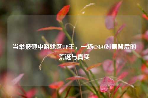 当举报砸中游戏区UP主，一场CSGO对局背后的荒诞与真实
