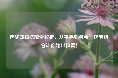 逆战宠物搭配全解析,从平民到氪金,这套组合让你输出拉满!