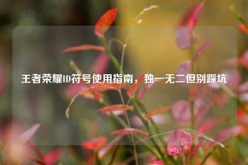 王者荣耀ID符号使用指南,独一无二但别踩坑