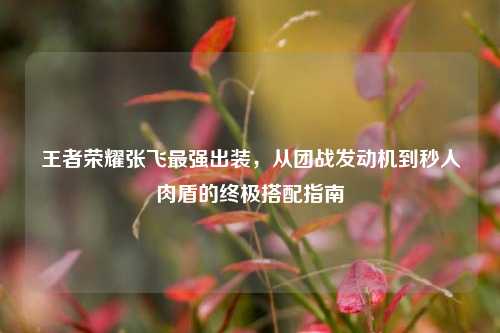 王者荣耀张飞最强出装,从团战发动机到秒人肉盾的终极搭配指南