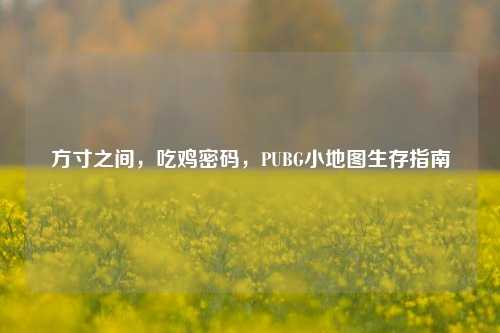 方寸之间,吃鸡密码,PUBG小地图生存指南