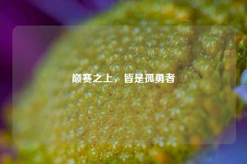 巅赛之上，皆是孤勇者