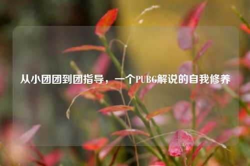 从小团团到团指导,一个PUBG解说的自我修养