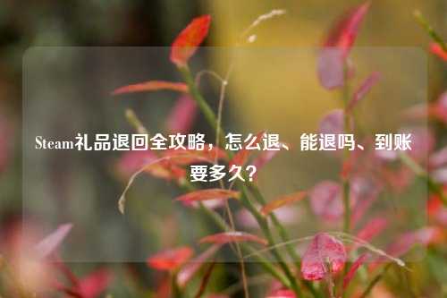 Steam礼品退回全攻略,怎么退、能退吗、到账要多久?