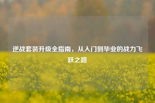 逆战套装升级全指南,从入门到毕业的战力飞跃之路