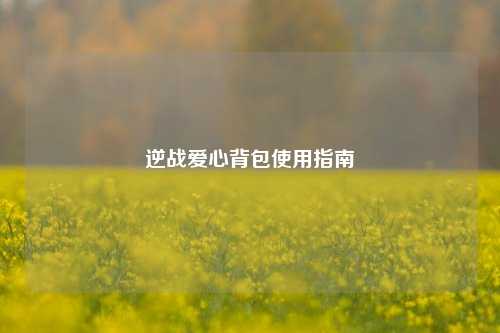 逆战爱心背包使用指南