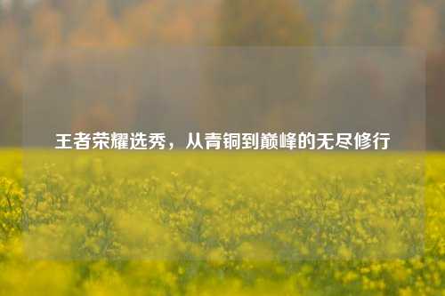 王者荣耀选秀,从青铜到巅峰的无尽修行