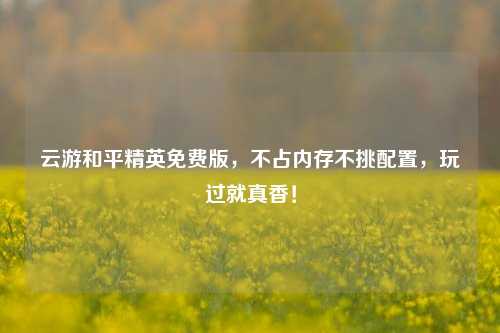 云游和平精英免费版,不占内存不挑配置,玩过就真香!