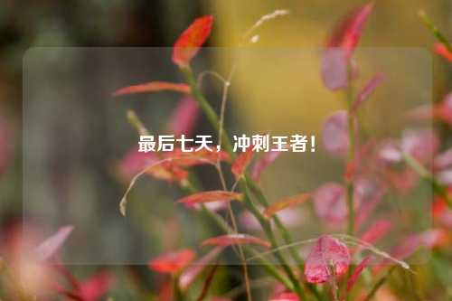 最后七天,冲刺王者!