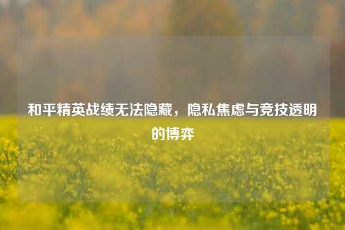 和平精英战绩无法隐藏,隐私焦虑与竞技透明的博弈