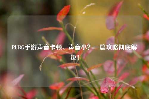 PUBG手游声音卡顿、声音小?一篇攻略彻底解决!