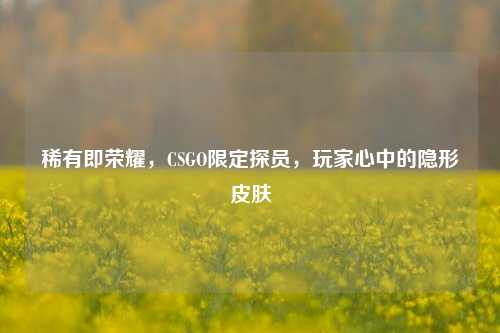 稀有即荣耀,CSGO限定探员,玩家心中的隐形皮肤