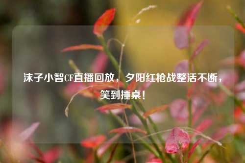 沫子小智CF直播回放,夕阳红枪战整活不断,笑到捶桌!