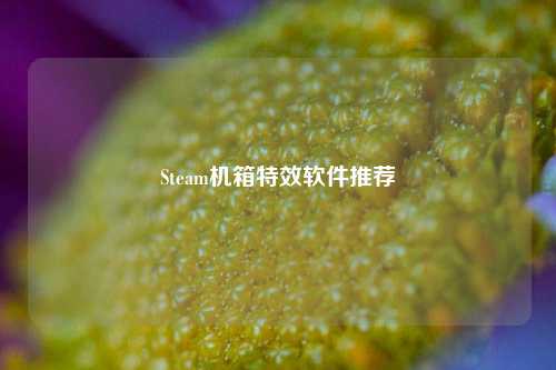 Steam机箱特效软件推荐
