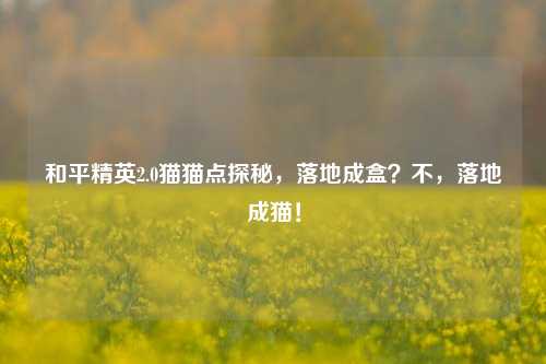 和平精英2.0猫猫点探秘,落地成盒?不,落地成猫!