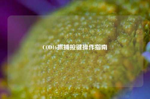 COD16抓捕按键操作指南