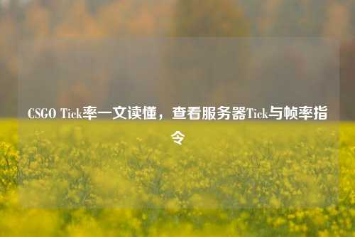 CSGO Tick率一文读懂,查看服务器Tick与帧率指令