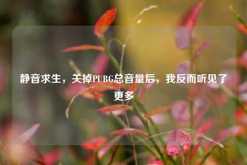 静音求生,关掉PUBG总音量后,我反而听见了更多